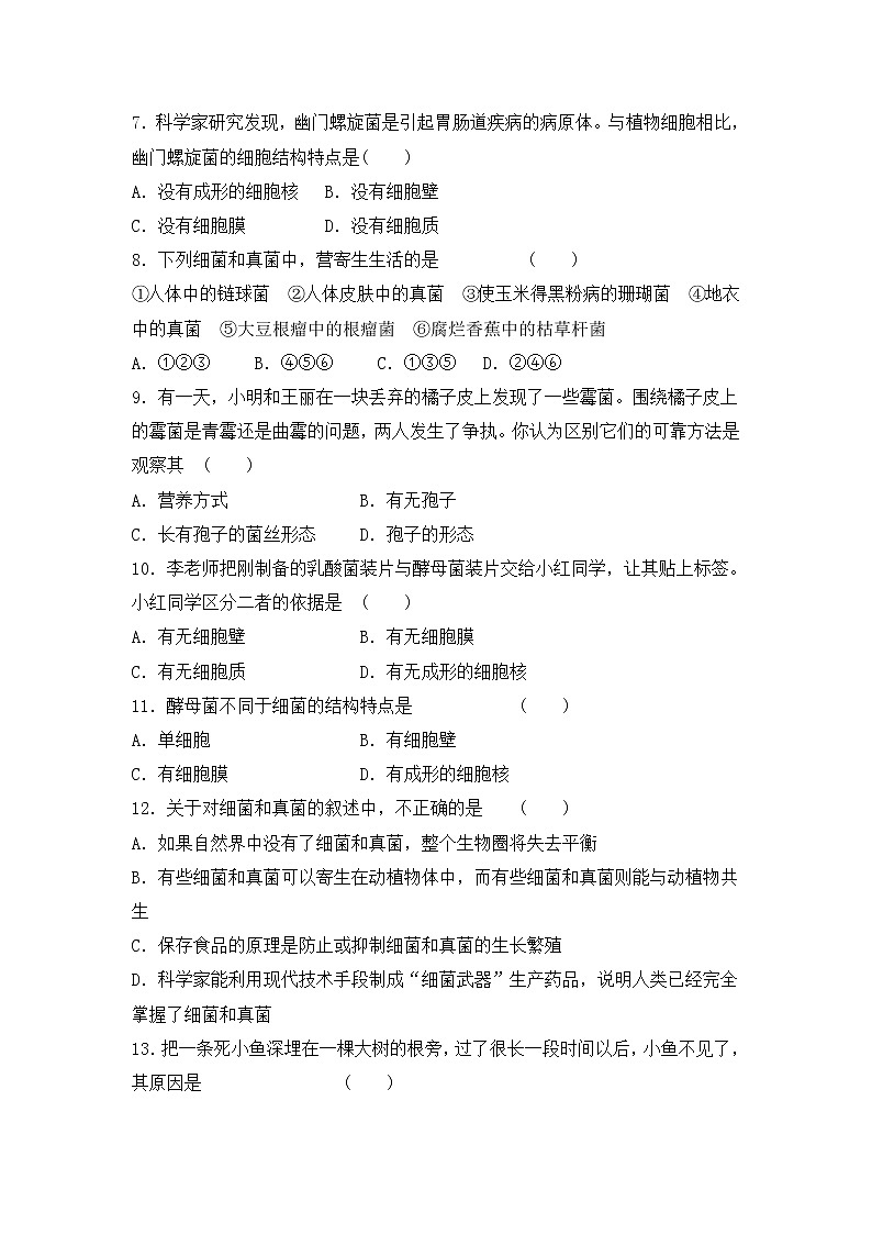 生物中考：细菌和真菌、病毒含答案第2页