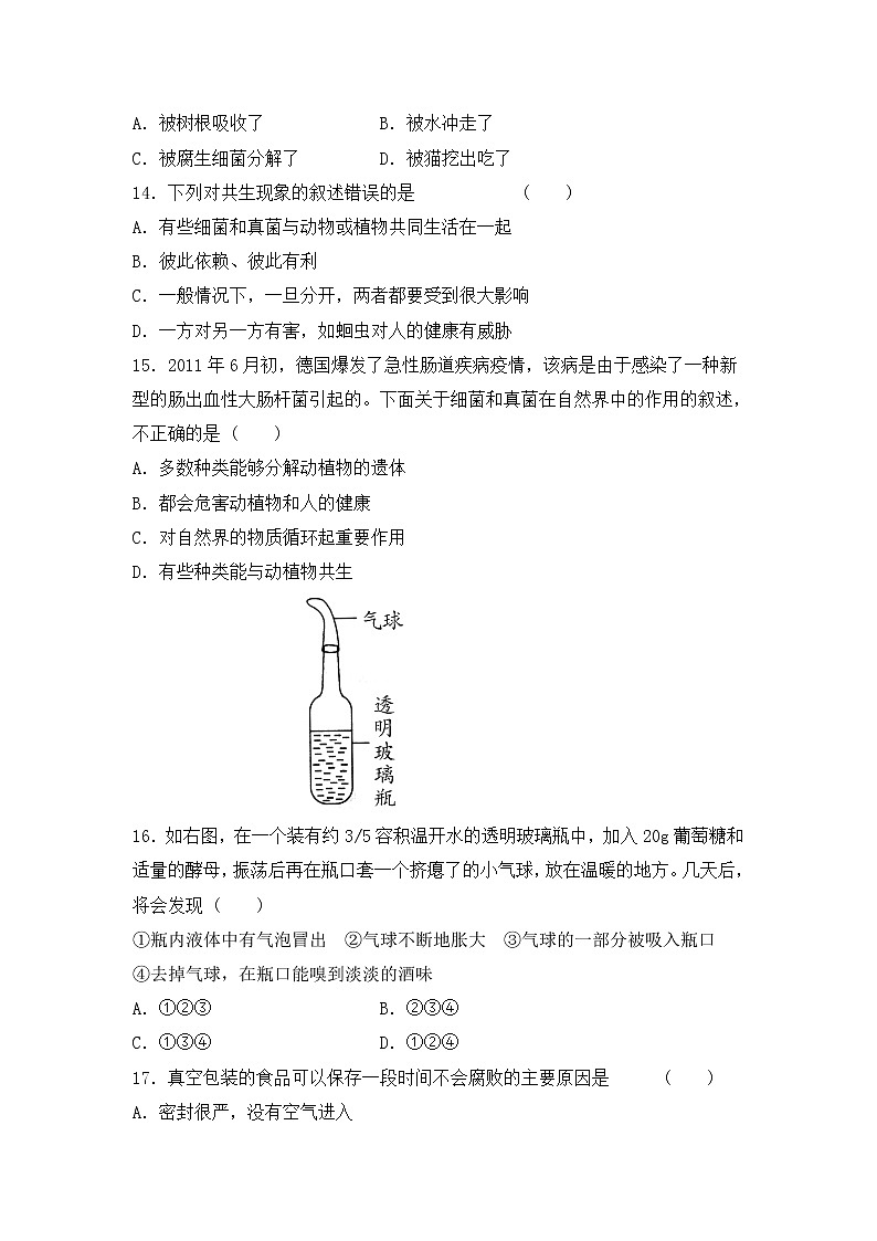 生物中考：细菌和真菌、病毒含答案第3页