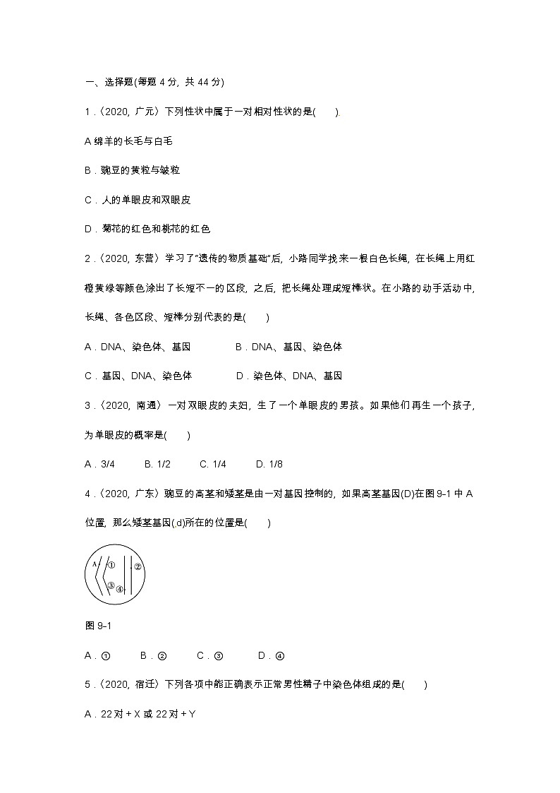 (人教版)中考生物专项九　生物的遗传、变异、进化含答案 练习02