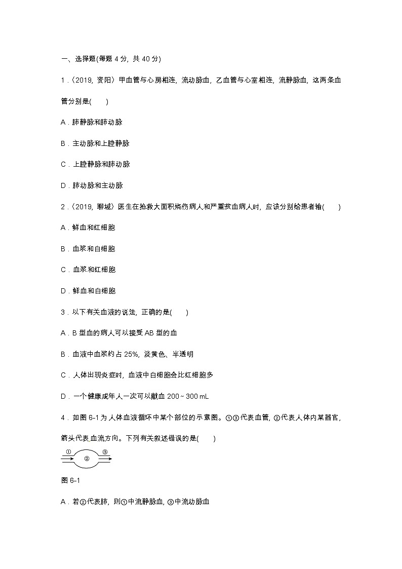 (人教版)中考生物专项六　人（二）含答案 练习02