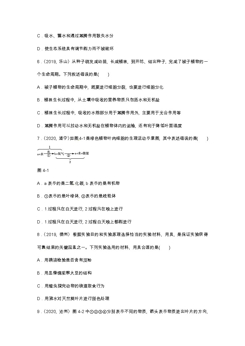 (人教版)中考生物专项四　绿色植物（二）含答案 练习03