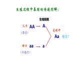 第三节  基因的显性和隐性（示范课） 课件