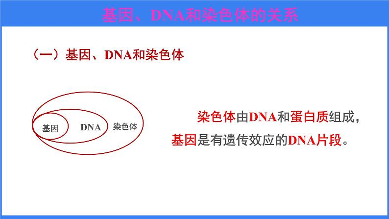 第二节 基因在亲子代间的传递第7页