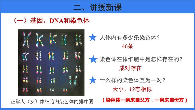 第二节 基因在亲子代间的传递第8页