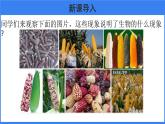 第二章 第五节 生物的变异 课件