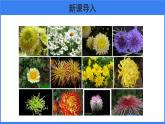 第二章 第五节 生物的变异 课件