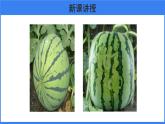 第二章 第五节 生物的变异 课件