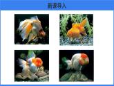 第二章 第五节 生物的变异 课件