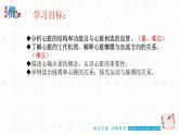 9.2血液循环2——心脏 课件