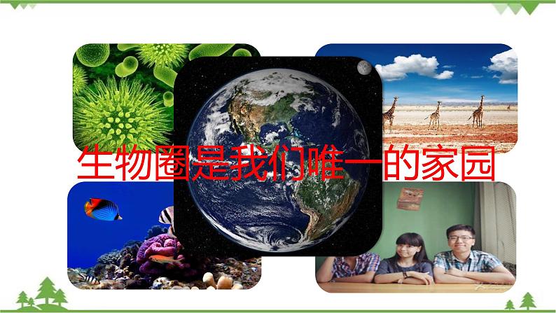 七年级下册 生物 第四单元 第14章 人在生物圈中的意义第2节《保护生物圈是全人类的共同义务》课件（北师大版）第4页