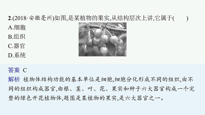 2021年中考生物总复习课件第四讲　细胞怎样构成生物体05