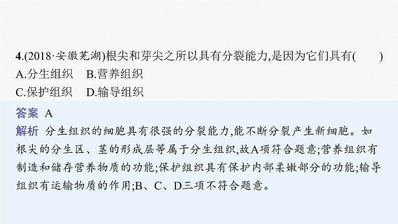 2021年中考生物总复习课件第四讲　细胞怎样构成生物体07