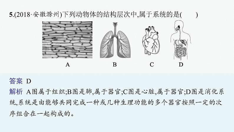 2021年中考生物总复习课件第四讲　细胞怎样构成生物体08