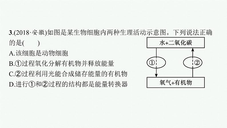 2021年中考生物总复习课件第八讲　生物圈中的碳—氧平衡06