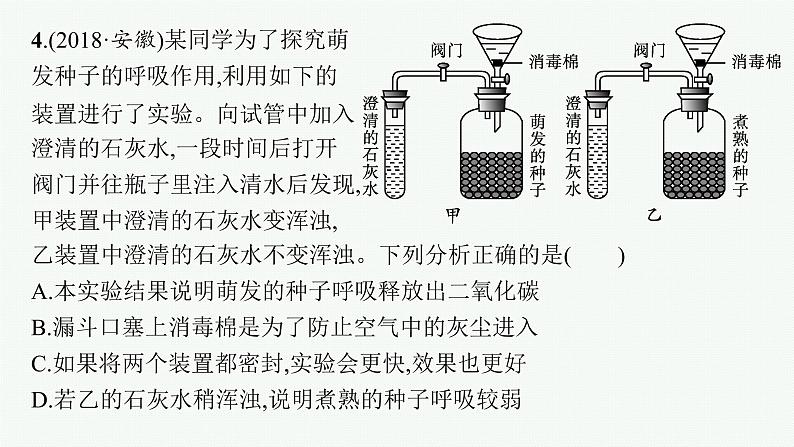 2021年中考生物总复习课件第八讲　生物圈中的碳—氧平衡08