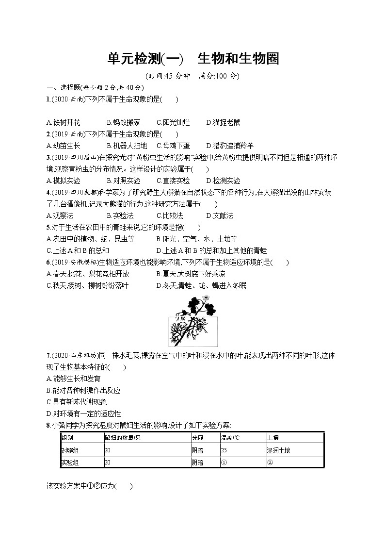 2021年中考生物总复习单元检测(一)　生物和生物圈01