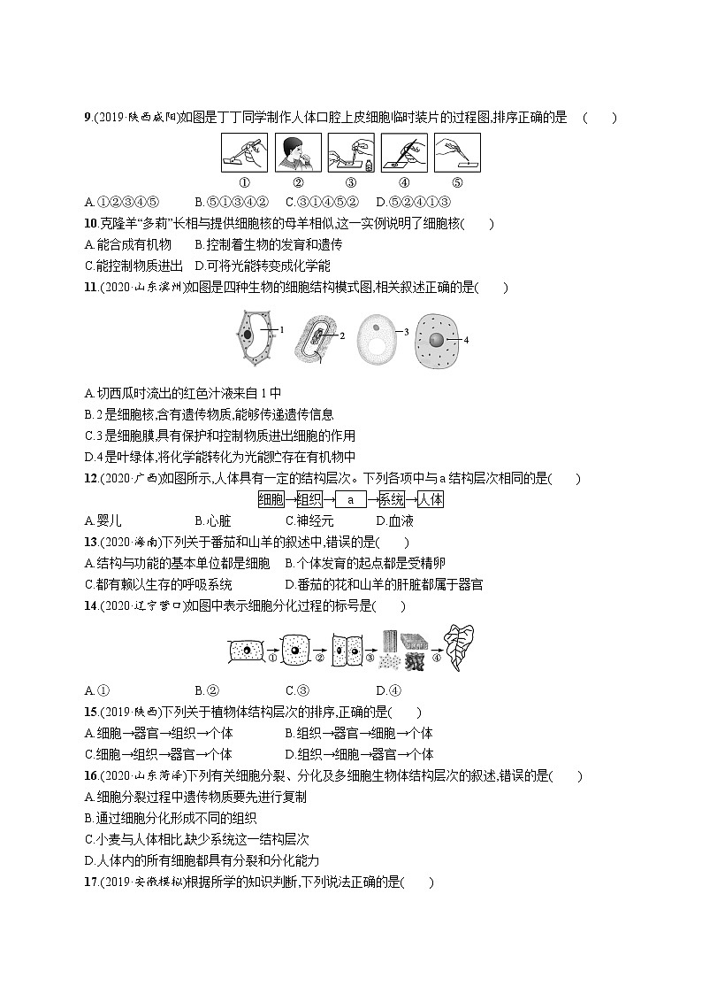 2021年中考生物总复习单元检测(二)　生物体的结构层次02