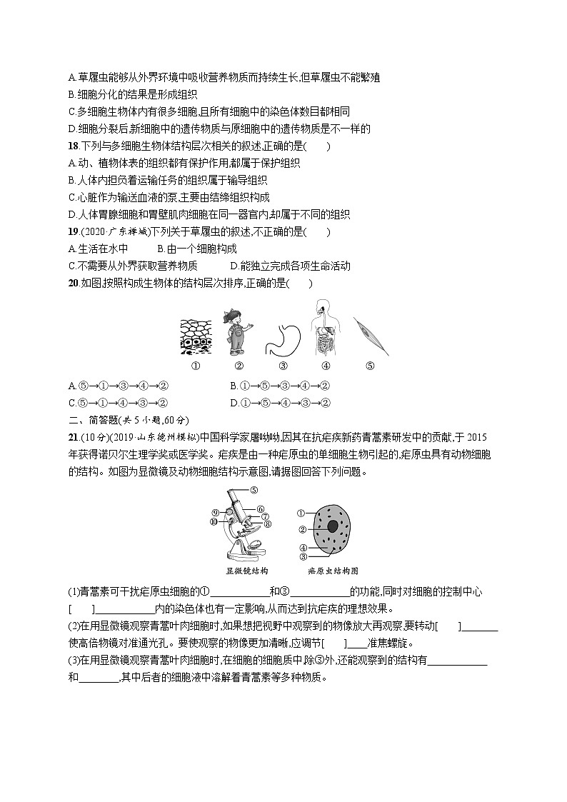 2021年中考生物总复习单元检测(二)　生物体的结构层次03