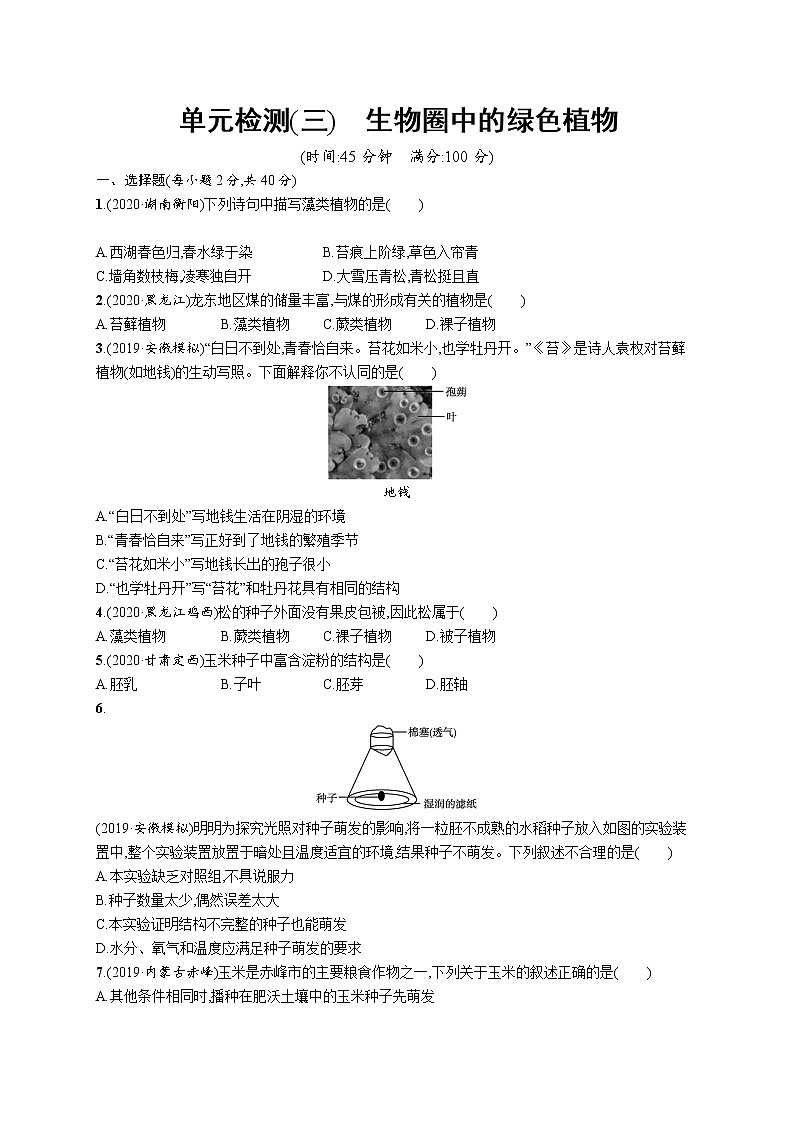 2021年中考生物总复习单元检测(三)　生物圈中的绿色植物01