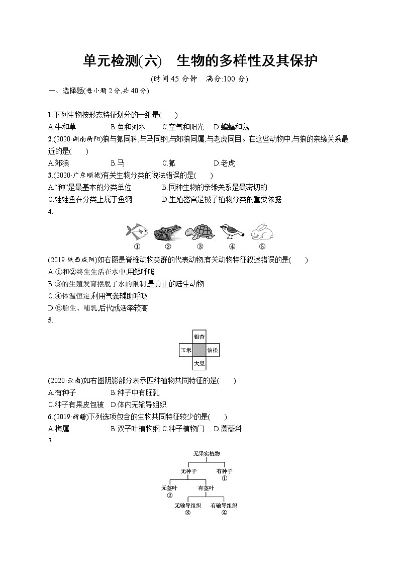 2021年中考生物总复习单元检测(六)　生物的多样性及其保护第1页
