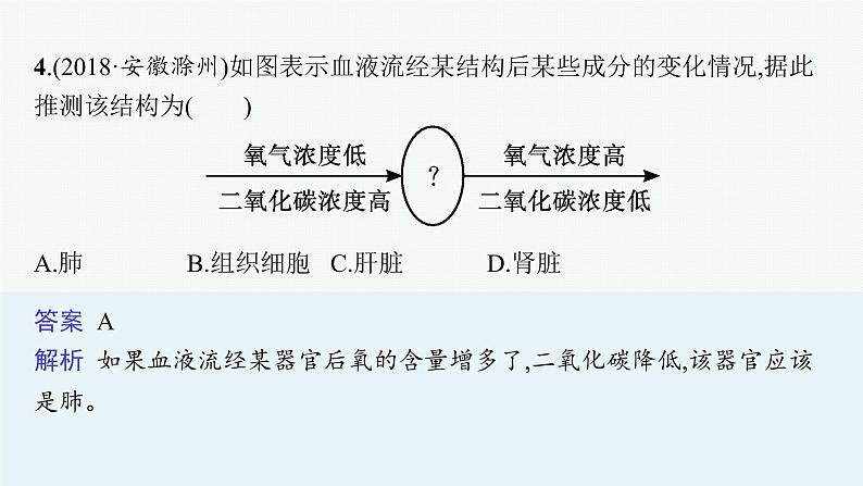 2021年中考生物总复习课件第十二讲　人体内物质的运输08