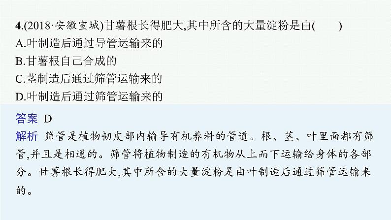 2021年中考生物总复习课件第七讲　绿色植物与生物圈的水循环07