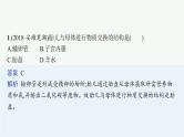 2021年中考生物总复习课件第九讲　人的由来