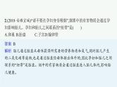 2021年中考生物总复习课件第九讲　人的由来