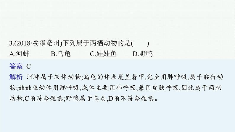 2021年中考生物总复习课件第十六讲　动物的主要类群06