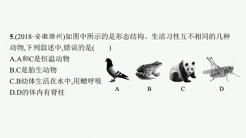 2021年中考生物总复习课件第十六讲　动物的主要类群08