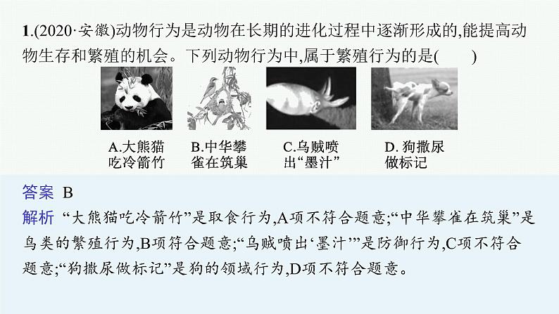 2021年中考生物总复习课件第十七讲　动物的运动、行为及动物在生物圈中的作用第4页