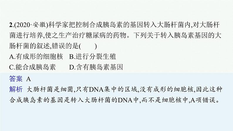 2021年中考生物总复习课件第十八讲　细菌、真菌和病毒第5页