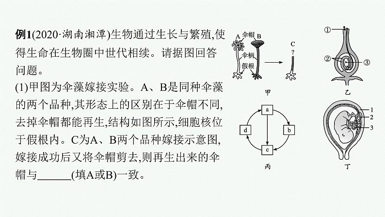 2021年中考生物总复习课件第二编专题七　生物圈中生命的延续和发展第7页