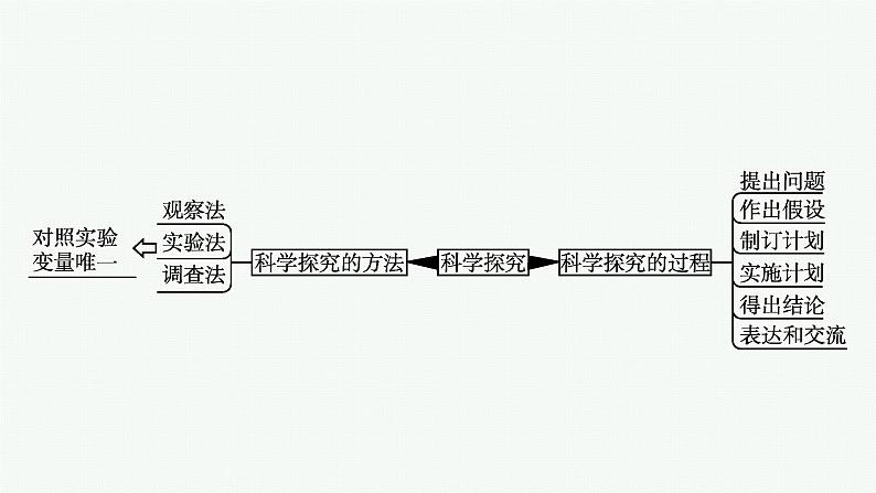 2021年中考生物总复习课件第二编专题十　科学探究04