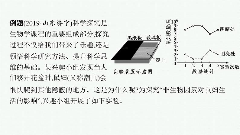 2021年中考生物总复习课件第二编专题十　科学探究07