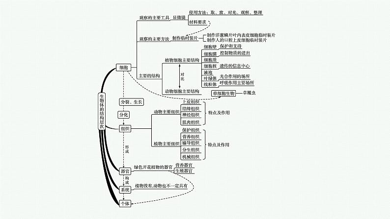 2021年中考生物总复习课件第二编专题二　生物体的结构层次第4页