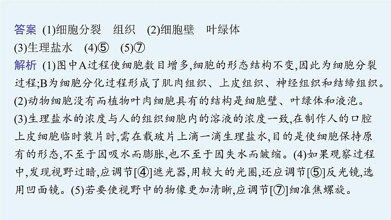 2021年中考生物总复习课件第二编专题二　生物体的结构层次第8页