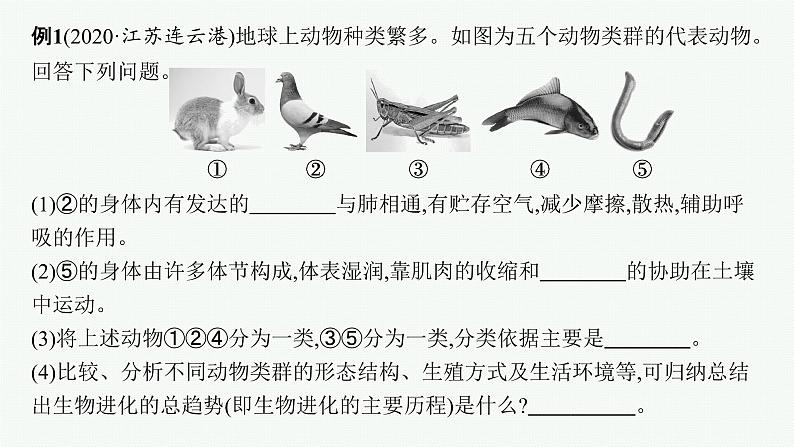 2021年中考生物总复习课件第二编专题五　生物圈中的其他生物第7页