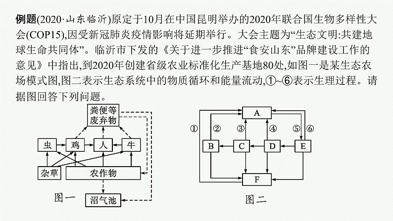 2021年中考生物总复习课件第二编专题一　生物和生物圈07