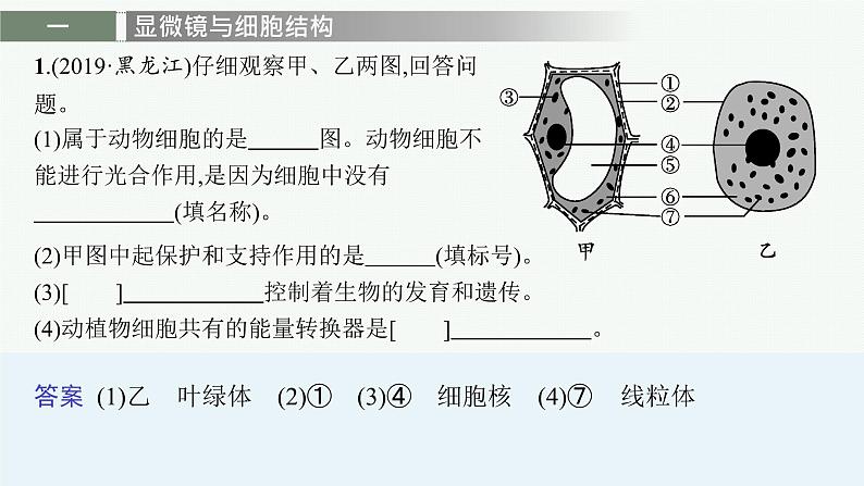 2021年中考生物总复习课件第三编　大题突破练第2页