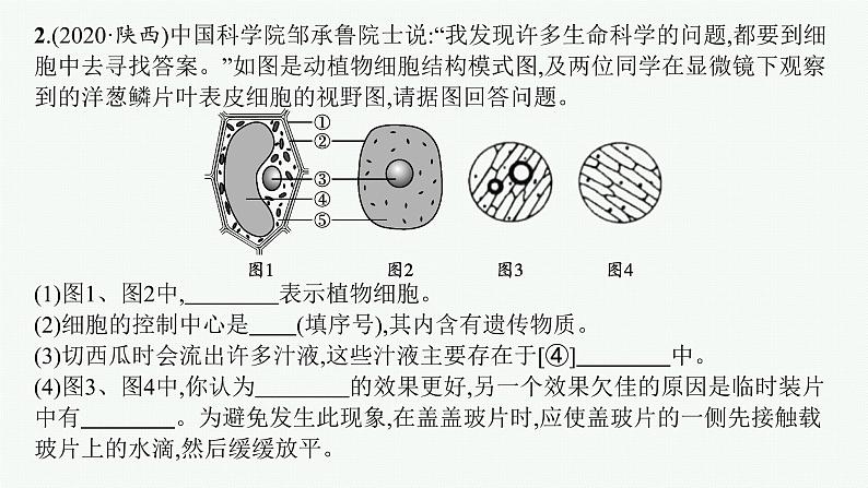 2021年中考生物总复习课件第三编　大题突破练第3页