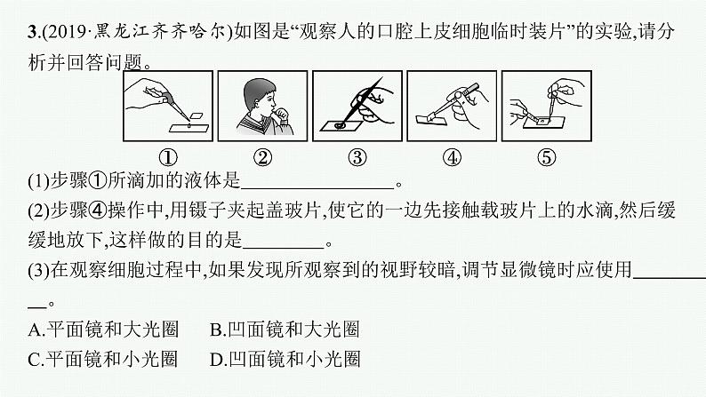 2021年中考生物总复习课件第三编　大题突破练第5页