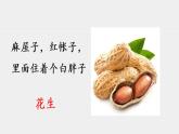 人教版生物七年級上冊 3.1.2種子植物 課件
