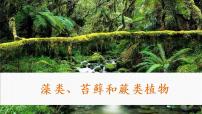 初中生物人教版 (新课标)七年级上册第三单元 生物圈中的绿色植物第一章 生物圈中有哪些绿色植物第一节 藻类、苔藓和蕨类植物精品ppt课件