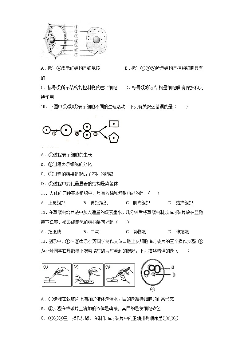 试卷 河南省洛阳市2020-2021学年七年级上学期期末生物试题（word版含答案）03
