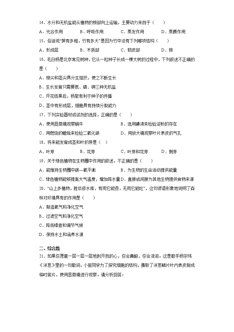 试卷 河南省开封市通许县2020-2021学年七年级上学期期末生物试题（word版含答案）03