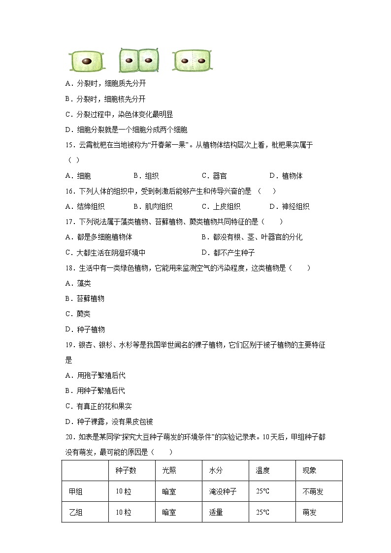 试卷 安徽省蚌埠市2020-2021学年七年级上学期期末生物试题（word版含答案）03