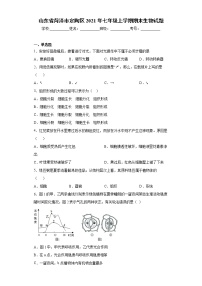 试卷 山东省菏泽市定陶区2021年七年级上学期期末生物试题（word版含答案）