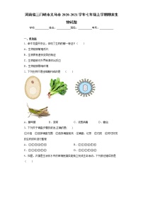 试卷 河南省三门峡市义马市2020-2021学年七年级上学期期末生物试题（word版含答案）