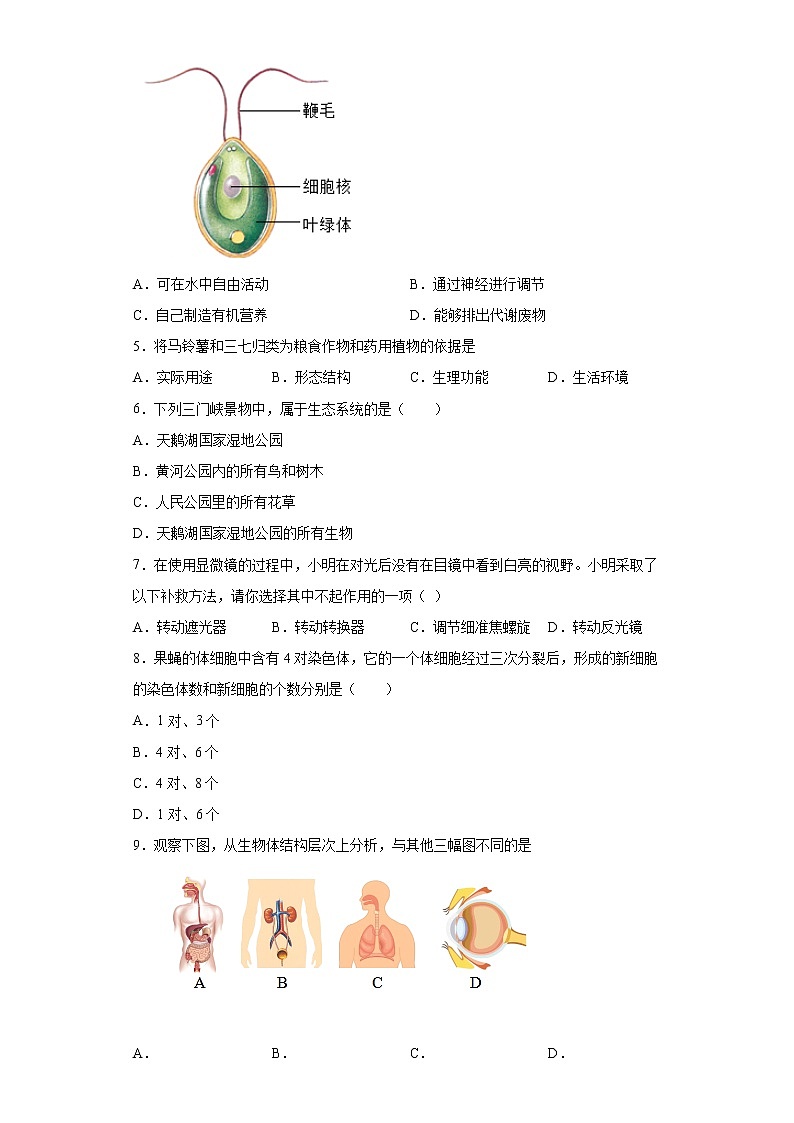 试卷 河南省三门峡市义马市2020-2021学年七年级上学期期末生物试题（word版含答案）02